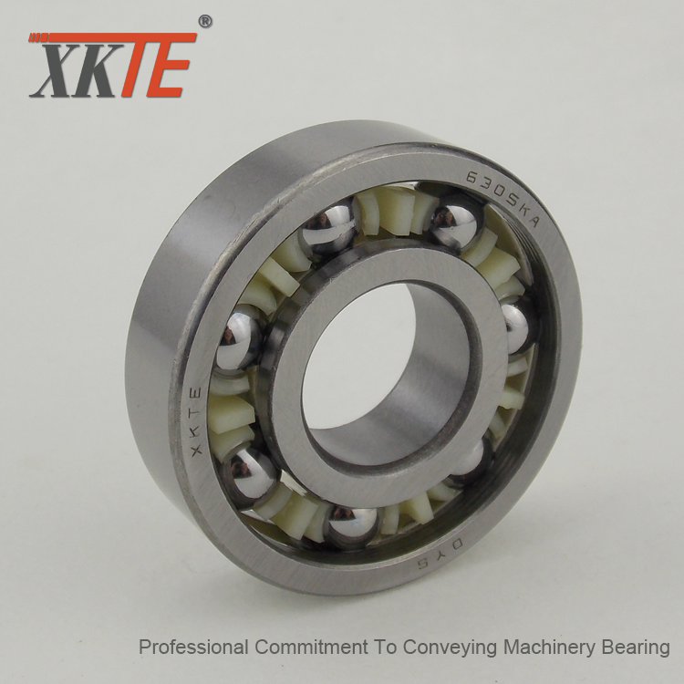 6305 C3 Nylon Ball Bearing